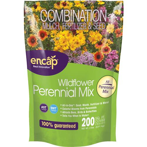 12137-6 Earth Science All-In-One Perennial Wildflower Seed Mix 12137-6, seed, wildflower