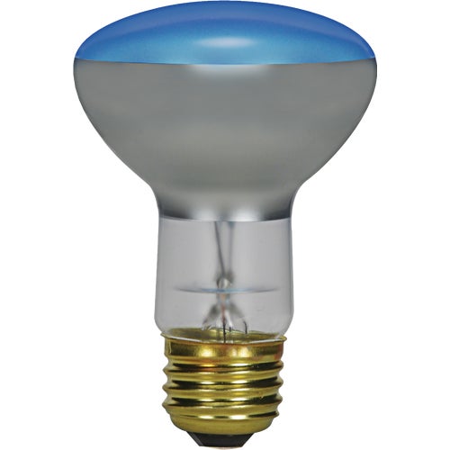 S2851 Satco R25 Incandescent Plant Light Bulb