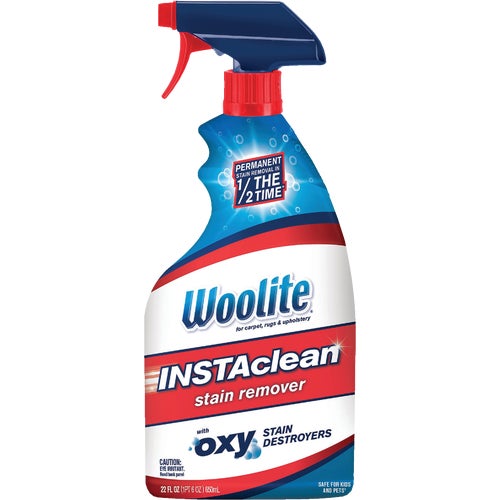 1742 Woolite InstaClean Carpet Cleaner