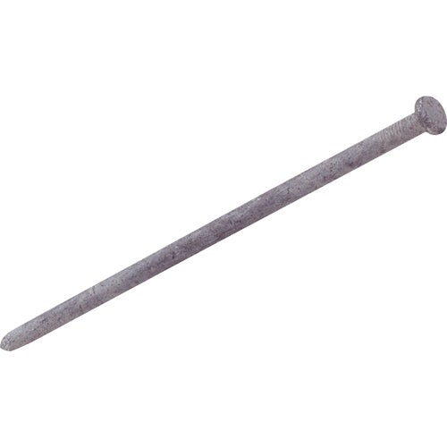 10HGSPK Grip-Rite Hot Galvanized Smooth Landscape Spike