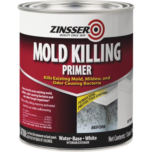 276049 Zinsser Mold Killing Interior/Exterior Primer