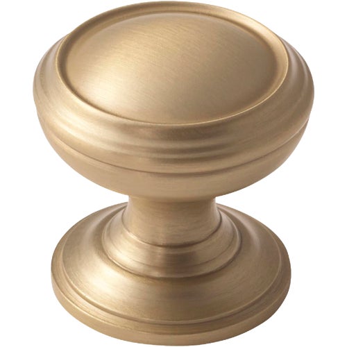 BP55342BBZ Amerock Revitalize Circle Cabinet Knob