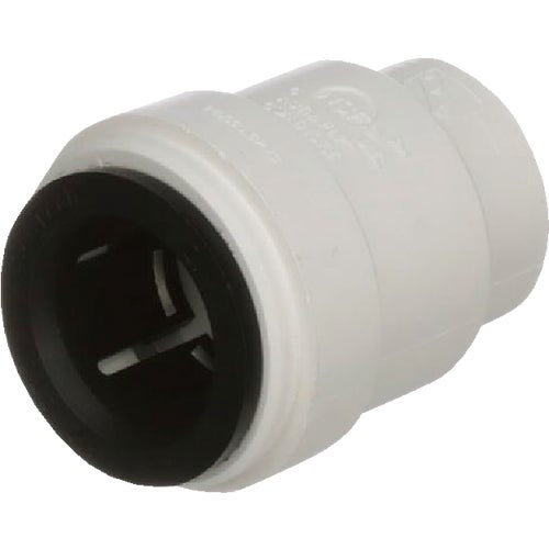 3545-08 Watts Aqualock Push-to-Connect Plastic Cap