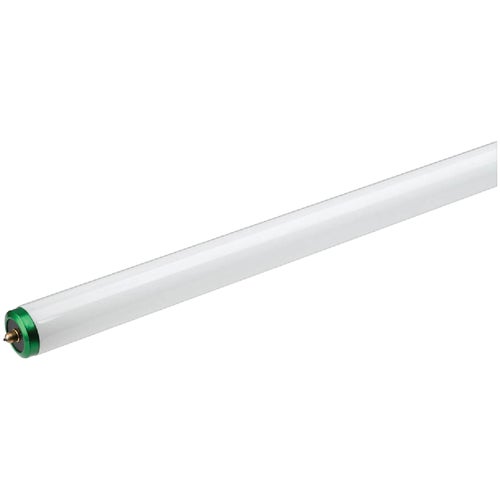 562082 Philips ALTO T12 Single Pin Fluorescent Tube Light Bulb