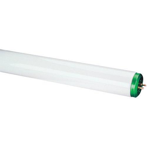 543272 Philips T12 Bi-Pin Fluorescent Tube Light Bulb