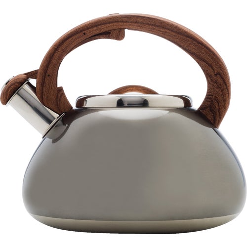 PAGM1-6225 Avalon Stainless Steel Tea Kettle