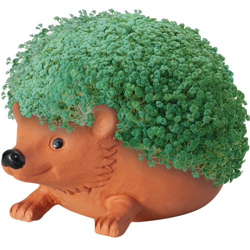 CP438-01 Chia Pet Terra Cotta Planter