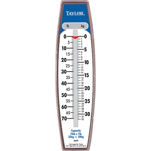 30704104 Taylor Steel Hook Hanging Scale