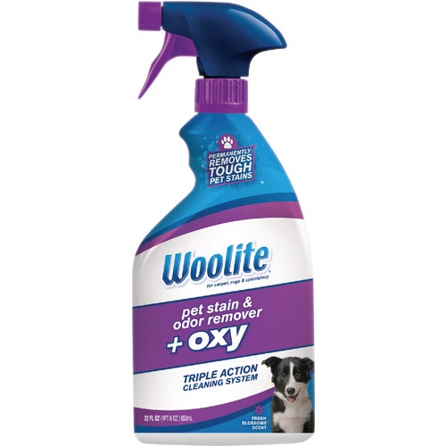 890 Woolite Carpet Pet Stain & Odor Remover