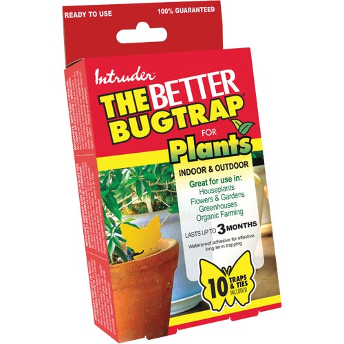 21085 Intruder The Better Bugtrap For Plants