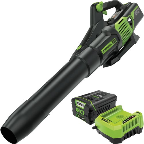 2424402 Greenworks Cordless Blower w/Rapid Charger