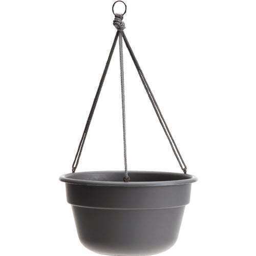 DCHB12-908 Bloem Dura Cotta Hanging Plant Basket