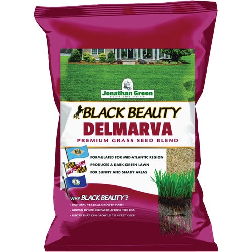 10391 Jonathan Green Black Beauty Delmarva Grass Seed