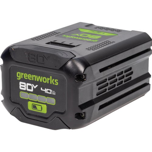 2983802 Greenworks Tool Replacement Battery