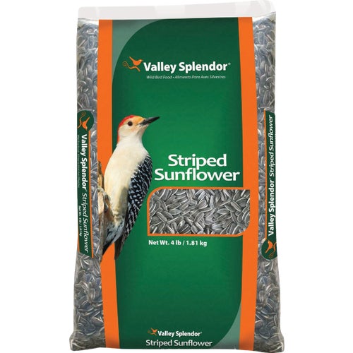 387 Valley Splendor Striped Sunflower Seed