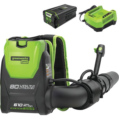 2437902 Greenworks Single Port Backpack Cordless Blower Kit